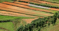 Plot/Land starting from 1200sqft Outer ring road , Nagpur