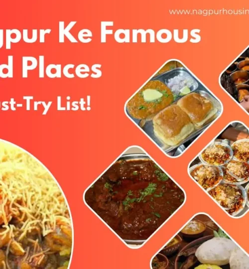 The most famous food places in Nagpur