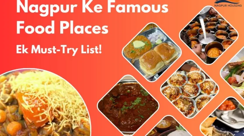 The most famous food places in Nagpur