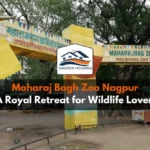 Discover Maharaj Bagh Zoo Nagpur: A Historic Wildlife Haven in the Orange City