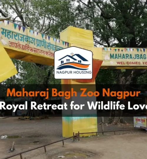 Discover Maharaj Bagh Zoo Nagpur: A Historic Wildlife Haven in the Orange City