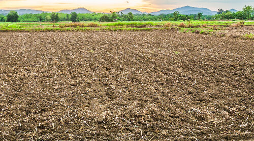 Agriculture Land 12 Acer near katol, Nagpur