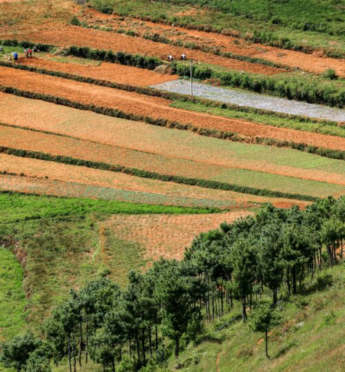Plot/Land starting from 1200sqft Outer ring road , Nagpur