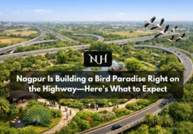 Nagpur Is Building a Bird Paradise Right on the Highway—Here’s What to Expect