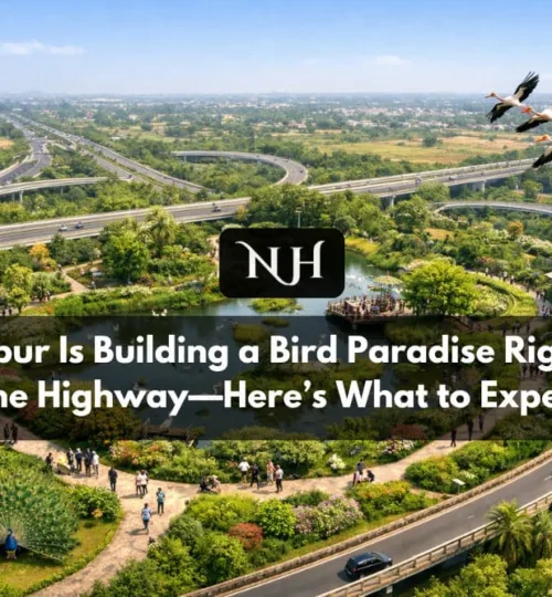 Nagpur Is Building a Bird Paradise Right on the Highway—Here’s What to Expect