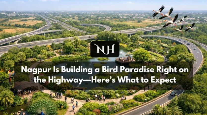 Nagpur Is Building a Bird Paradise Right on the Highway—Here’s What to Expect